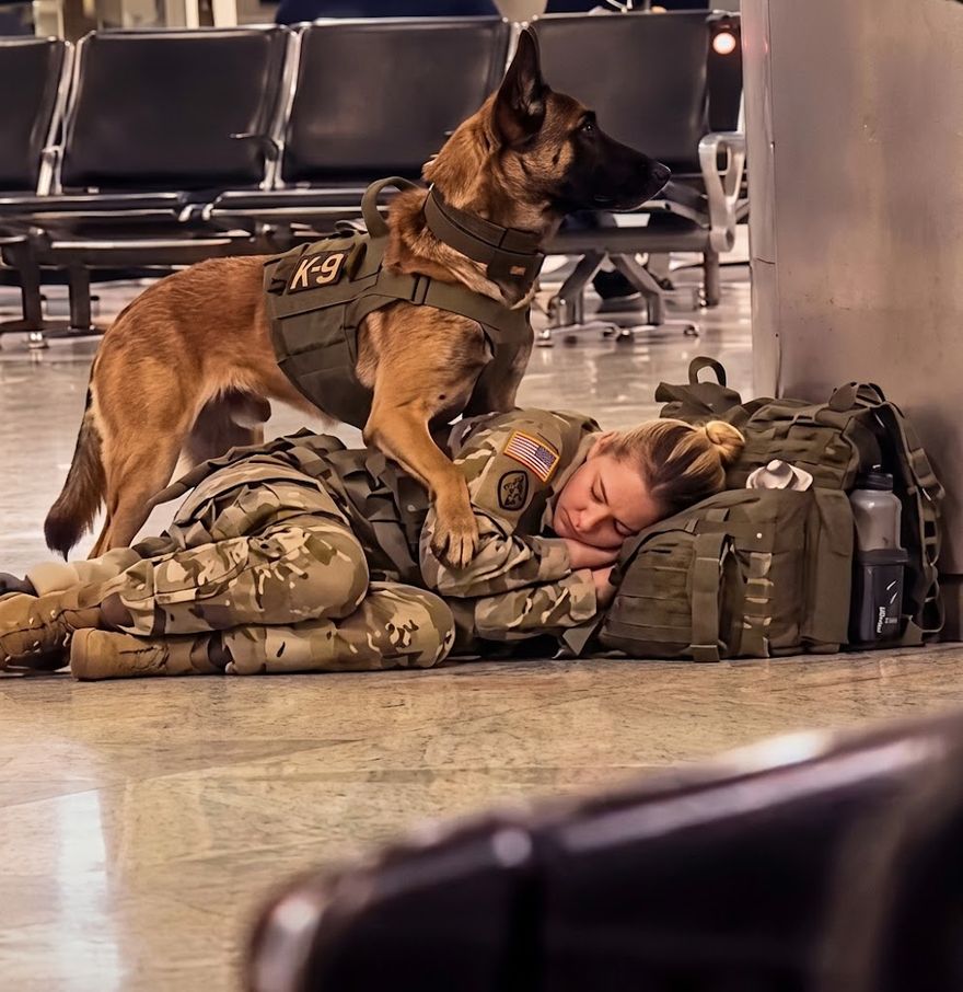 Una soldado duerme en el suelo de un aeropuerto mientras su perro militar, con chaleco K9, se coloca encima de ella para protegerla
